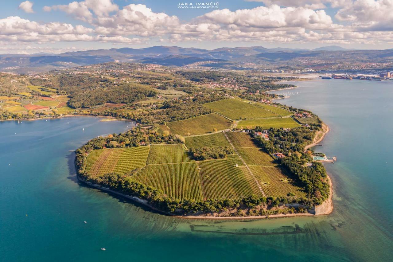 Istrian Lux Residence Κόπερ Εξωτερικό φωτογραφία