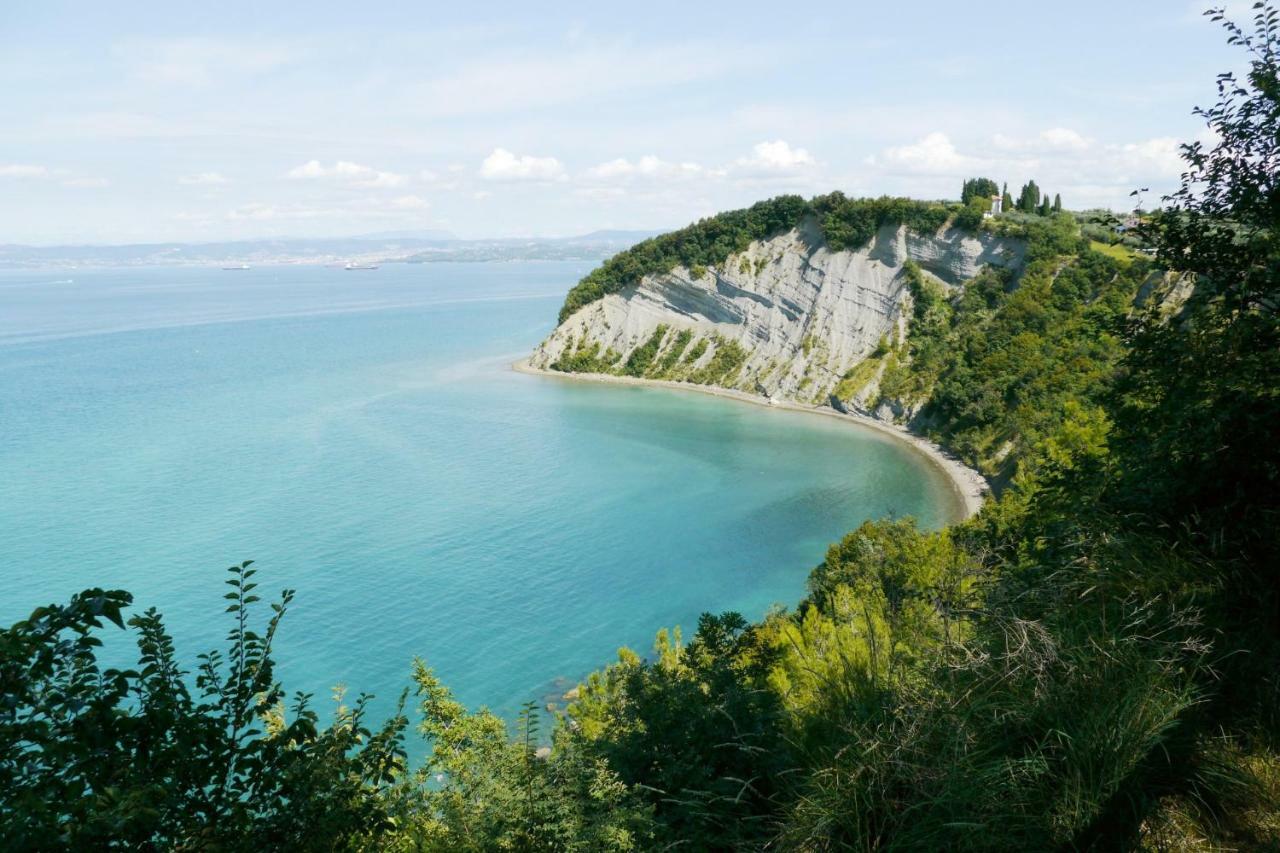 Istrian Lux Residence Κόπερ Εξωτερικό φωτογραφία